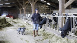 Vincent Buffier mise sur l'herbe pour être autonome. L'hiver, il distribue une ration d'ensilage et de foin.