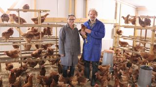 Bastien et Delphine Paquet ont autoconstruit leurs bâtiments en privilégiant leur confort et celui des poules (perchoirs, litière incitant à gratter, filet à foin...). Bastien et Delphine Paquet ont autoconstruit leurs bâtiments en privilégiant leur confort et celui des poules (perchoirs, litière incitant à gratter, filet à foin...).