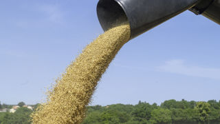 En février, FranceAgriMer a revu en nette hausse ses prévisions d’exportation d’orge française. En février, FranceAgriMer a revu en nette hausse ses prévisions d’exportation d’orge française.