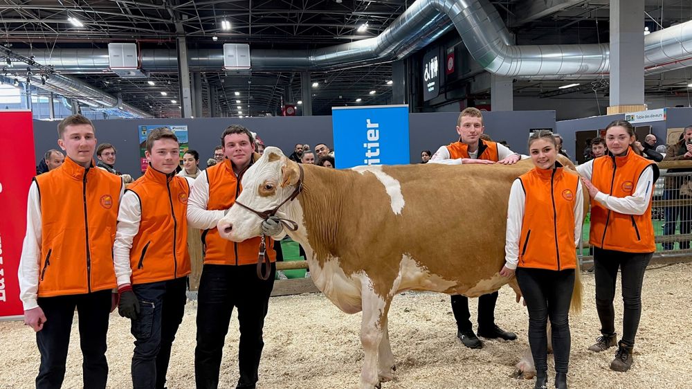 De gauche à droite : Pierre-Louis, Jérémy, Thomas, Clément, Cassy et Léa prennent la pause sur le grand ring à la sortie de leur dernière épreuve du TIEA.