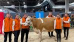 De gauche à droite : Pierre-Louis, Jérémy, Thomas, Clément, Cassy et Léa prennent la pause sur le grand ring à la sortie de leur dernière épreuve du TIEA.