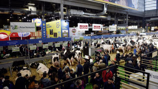 Le Salon international de l'agriculture a accueilli 615 204 visiteurs du 25 février au 5 mars 2023.