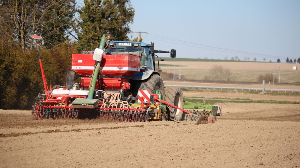 Les semis d'orge de printemps en 2023 sont en large avance par rapport à la dernière campagne ou encore à la moyenne des cinq dernières années.