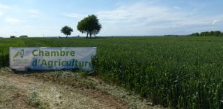 Les chambres d'agriculture sont sous la tutelle de l'Etat. Les chambres d'agriculture sont sous la tutelle de l'Etat.