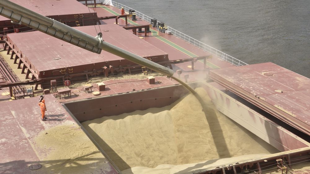 L'abondance de l'offre mondiale et l'amélioration globale des conditions climatiques tirent les prix des grains vers le bas.