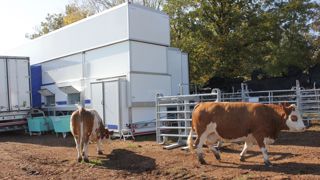 Deux camions frigo pour l’abattage et le stockage temporaire des carcasses, ainsi qu’une remorque abritant les vestiaires des cinq opérateurs et le bureau du vétérinaire mandaté par l’État, constituaient l’abattoir mobile. Deux camions frigo pour l’abattage et le stockage temporaire des carcasses, ainsi qu’une remorque abritant les vestiaires des cinq opérateurs et le bureau du vétérinaire mandaté par l’État, constituaient l’abattoir mobile.