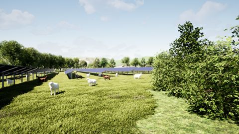 Avec enoé : les vraies richesses de l'agrivoltaïsme