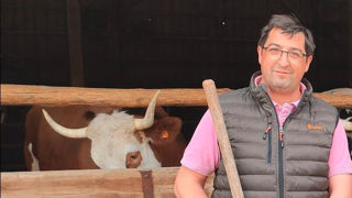 François Paquin a repris il y a dix ans, la ferme familiale située à vingt kilomètres des falaises d'Etretat. François Paquin a repris il y a dix ans, la ferme familiale située à vingt kilomètres des falaises d'Etretat.