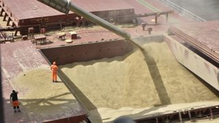 Cette semaine, le léger rebond des Bourses et du pétrole a conduit « les fonds à repartir à la vente sur le marché des grains ». Cette semaine, le léger rebond des Bourses et du pétrole a conduit « les fonds à repartir à la vente sur le marché des grains ».