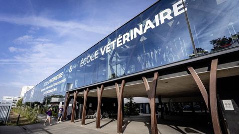 L’école vétérinaire privée UniLaSalle Rouen sélectionne sur dossier puis par un concours très différent des écoles publiques.