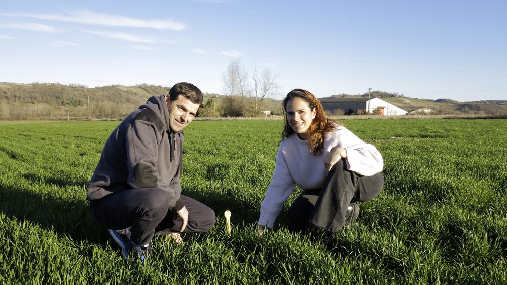 David Comminges et Aurélie Cabirol mesurent la température du sol, qui doit être d'au moins 12 °C avant d'appliquer une préparation de plantes.