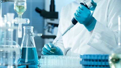 Le gouvernement italien a validé un projet de loi pour interdire la production et la vente d'aliments de synthèse.