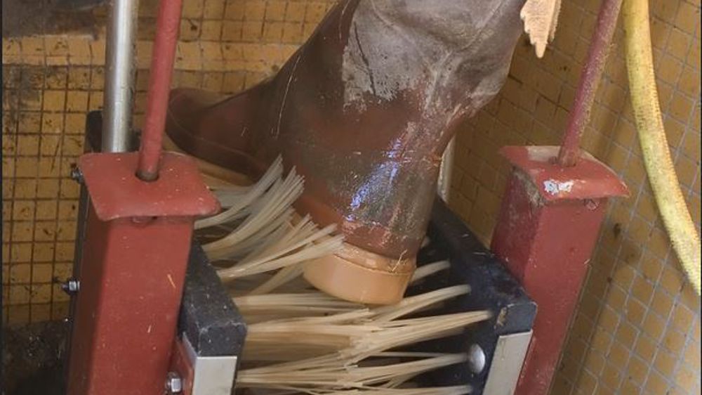 Le lave-bottes doit être situé à l'entrée de la zone d'élevage.