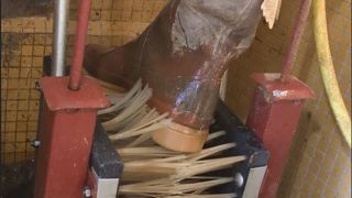 Le lave-bottes doit être situé à l'entrée de la zone d'élevage.