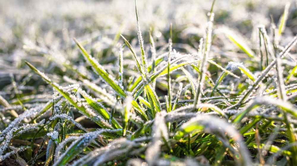 Le temps est ensoleillé et frais en ce début d'avril avec quelques gelées tardives.