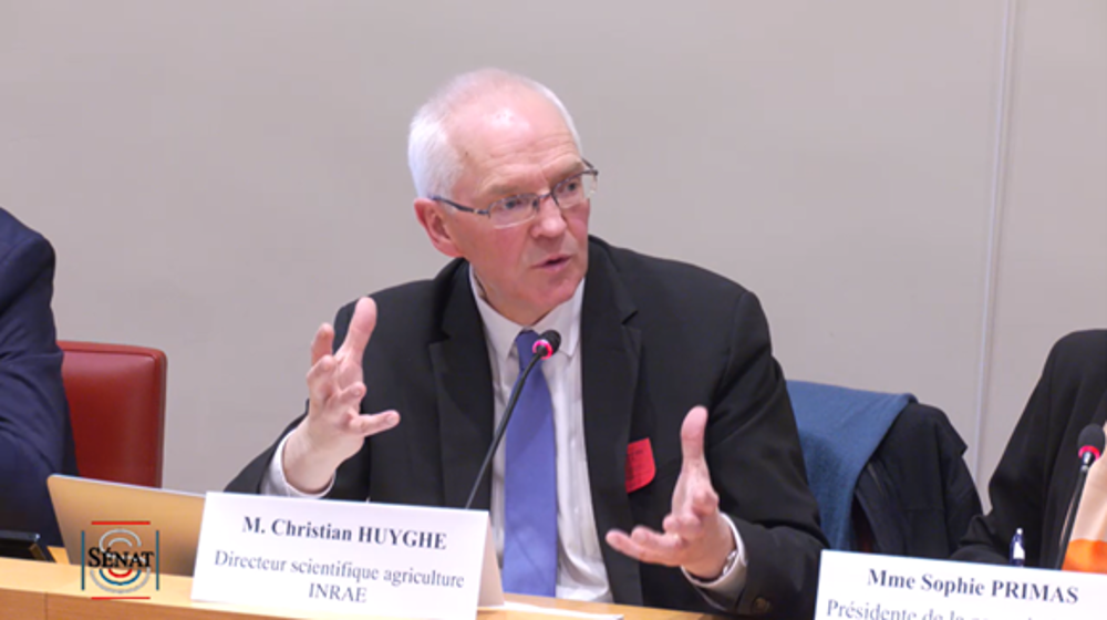 Auditionné en Commission au Sénat le 5 avril, Christian Huyghe, directeur scientifique agriculture de l'Inrae, invite à une réflexion intégrant l'ensemble des phytos d'un même groupe.