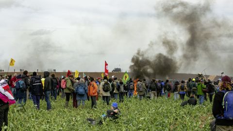 Au total, une quinzaine d’hectares ont été piétiné.
