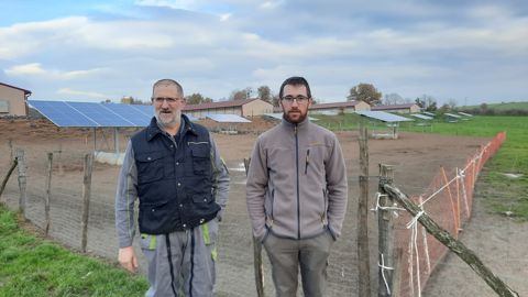 "Plus les volailles sortent, plus elles sont calmes, notent Jean-François (à g.) et Loïc Lacroix. Il y a moins de concurrence entre elles."