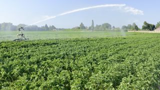 Sur le volet de l'irrigation, trois utilisations de l'OAD sont possibles. Sur le volet de l'irrigation, trois utilisations de l'OAD sont possibles.