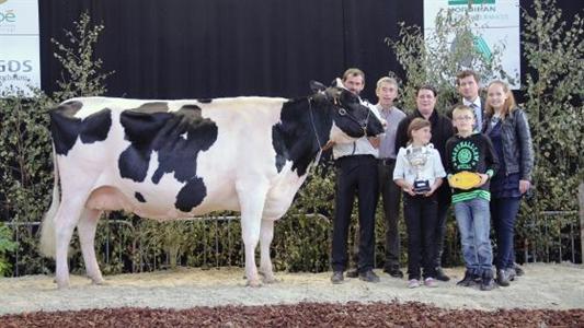 Cabane Prim'holstein