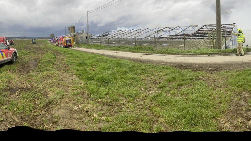 Quarante-sept pompiers belges sont intervenus sur l'incendie d'un poulailler de 2 000 m². Quarante-sept pompiers belges sont intervenus sur l'incendie d'un poulailler de 2 000 m².