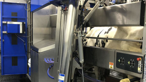 Delaval a sorti un robot d’analyse de la progestérone Delaval a sorti un robot d’analyse de la progestérone