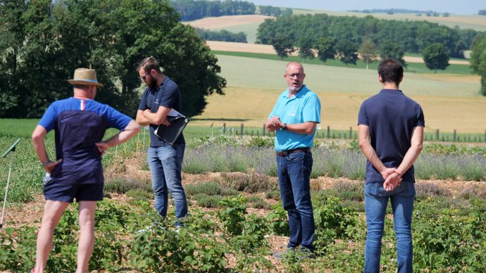 Une des plateformes nouvelles cultures d'Alliance BFC en Côte-d'Or à l’occasion de ses Rencontres Recherche et Développement 2022 avec, au centre, Hervé Martin, responsable agronomique et filières, entouré d'adhérents et de collègues.