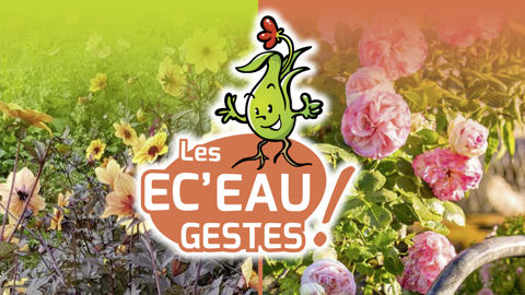 Un premier guide « Ec’Eau gestes » est édité en Auvergne-Rhône-Alpes à l’intention des jardiniers novices afin de les rassurer et de les aider à mieux gérer l’eau d’arrosage. Un premier guide « Ec’Eau gestes » est édité en Auvergne-Rhône-Alpes à l’intention des jardiniers novices afin de les rassurer et de les aider à mieux gérer l’eau d’arrosage.