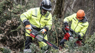 Tronçonneuse 60V Kress (KC300.9), performante sur toutes les coupes