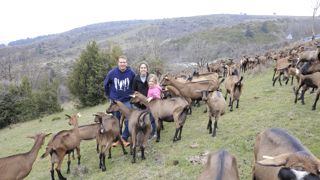 Sébastien et Julie Rosset ont quitté l'Ardèche pour les Cévennes lozériennes, où ils ont commencé la production de lait de chèvre avec l'accompagnement d'une conseillère de la chambre d'agriculture.