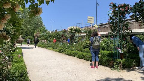 Jardins historiques ou botaniques, jardins de soin, potagers… tous les lieux propices au jardinage permettent de mieux comprendre les relations hommes/végétaux et les stratégies de la nature. Une base scientifique et pédagogique pour mieux la protéger et nous protéger. Jardins historiques ou botaniques, jardins de soin, potagers… tous les lieux propices au jardinage permettent de mieux comprendre les relations hommes/végétaux et les stratégies de la nature. Une base scientifique et pédagogique pour mieux la protéger et nous protéger.