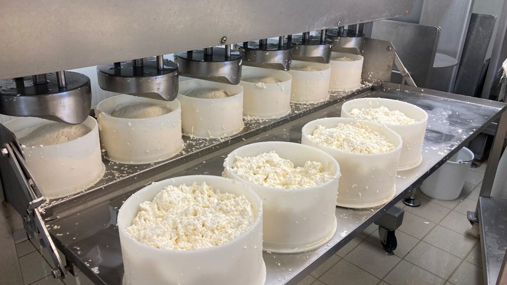 La production a atteint 8 587 tonnes de saint-nectaire fermier et 6 756 tonnes de saint-nectaire laitier en 2022.