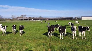 Avant de pouvoir sélectionner les vaches laitières sur leur capacité à résister au stress thermique, il faut déjà viser une plus grande robustesse par les critères de santé et de repro.