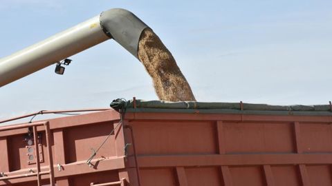 Les tensions en mer Noire et le temps sec ont fait grimper les prix des céréales cette semaine.