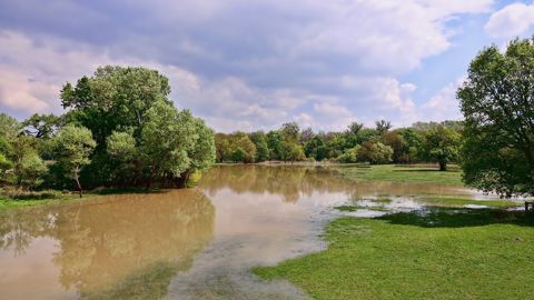 L'état de catastrophe naturelle a été reconnu dans certains départements après que des inondations sont survenues entre 2021 et 2023. L'état de catastrophe naturelle a été reconnu dans certains départements après que des inondations sont survenues entre 2021 et 2023.