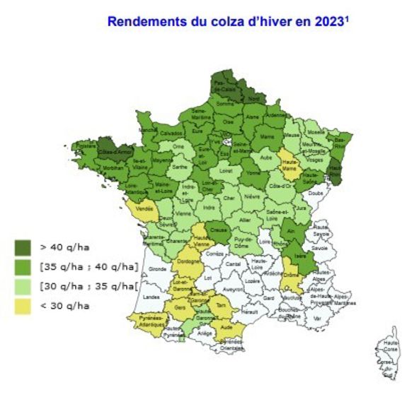 Campagne 2023 les récoltes de colza et d’hiver annoncées en hausse — free download