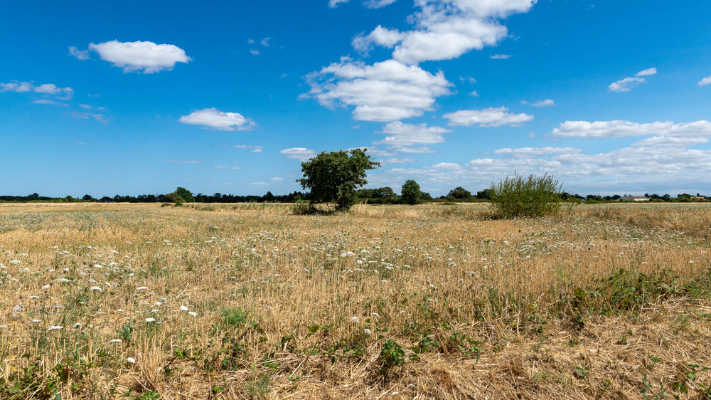 Un temps ensoleillé et sec va s'installer sur une large partie du territoire.