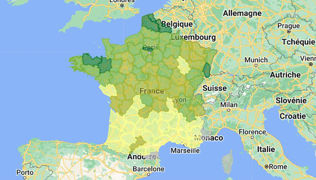Découvrez les prévisions de rendement du colza par département