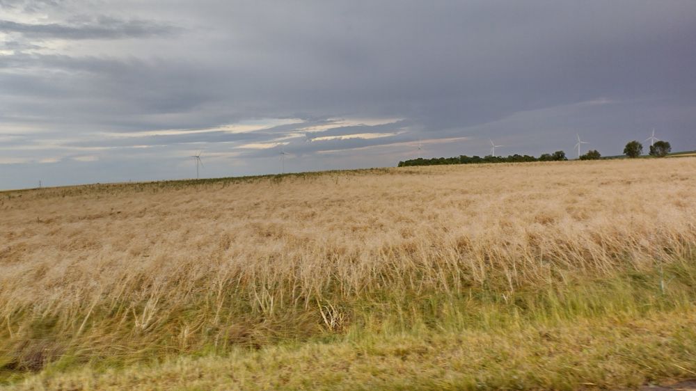 Dans le département du Cher, "quelques centaines d'hectares" de parcelles ont été décimées par la grêle.