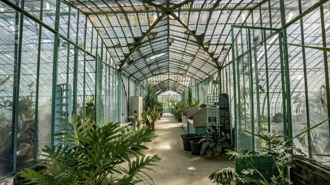 « Patrimoine végétal, patrimoine capital » : ce thème rassemblera les participants des 3e universités du CCVS, avec des visites dans les sites du Jardin botanique de Paris. En photo : la serre historique d’Auteuil. « Patrimoine végétal, patrimoine capital » : ce thème rassemblera les participants des 3e universités du CCVS, avec des visites dans les sites du Jardin botanique de Paris. En photo : la serre historique d’Auteuil.