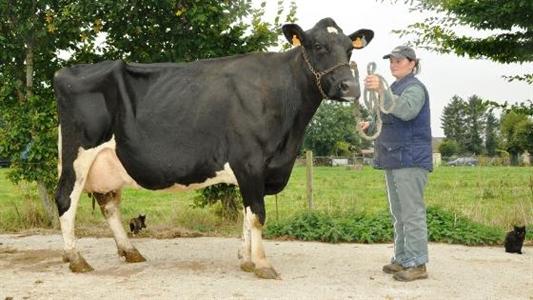 Ureine, Gaec Ducellier