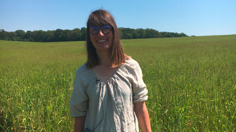 Pour lutter contre le ray-grass et le chardon, un mélange de trèfle/luzerne/lotier a été semé l'an passé sous sarrasin. Du petit épeautre a été semé en direct cet automne.