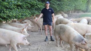 Bien que non issus de races rustiques et nés en bâtiments, « les porcs s’adaptent très bien », assure Eric Girard. Bien que non issus de races rustiques et nés en bâtiments, « les porcs s’adaptent très bien », assure Eric Girard.