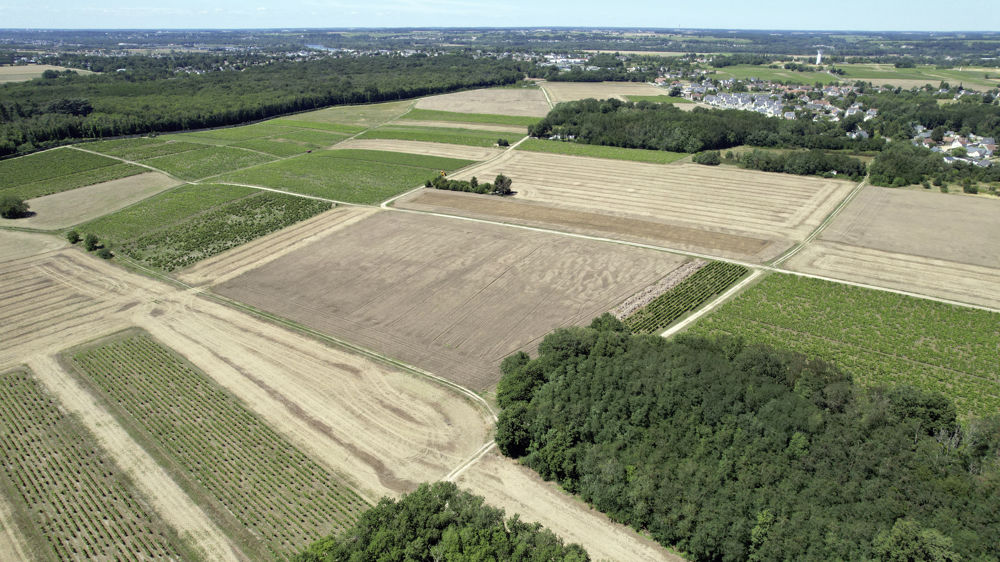 Pour les prairies permanentes et temporaires, ainsi que les jachères, l'entretien minimal annuel est vérifié par l'absence d'enfrichement.
