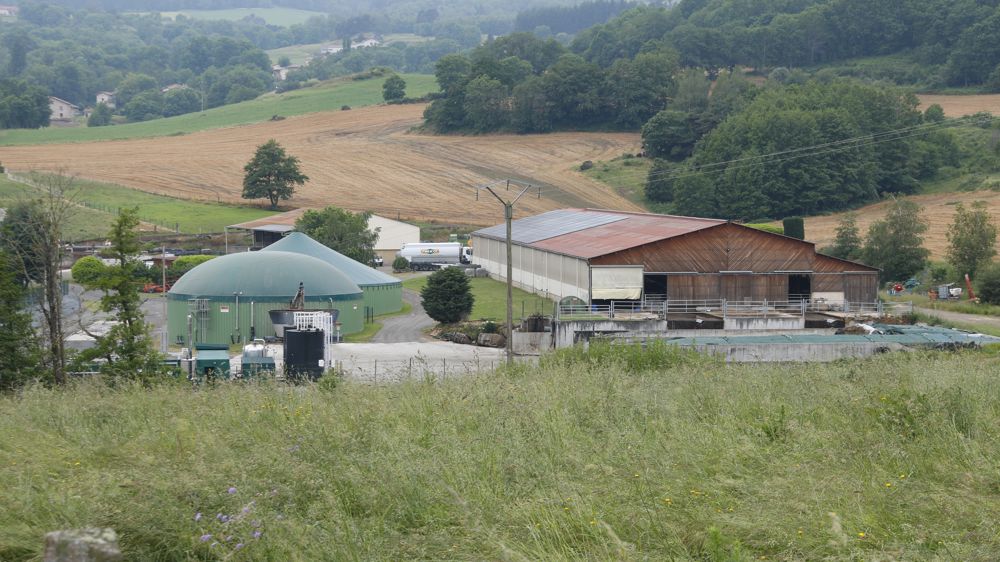 L’installation de méthanisation prend place juste en dessous de la stabulation des vaches laitières et fonctionne en partie grâce à leurs effluents.