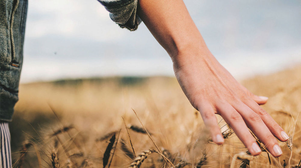 « Paysannes », par Anne Lecourt, aux Editions Ouest-France.