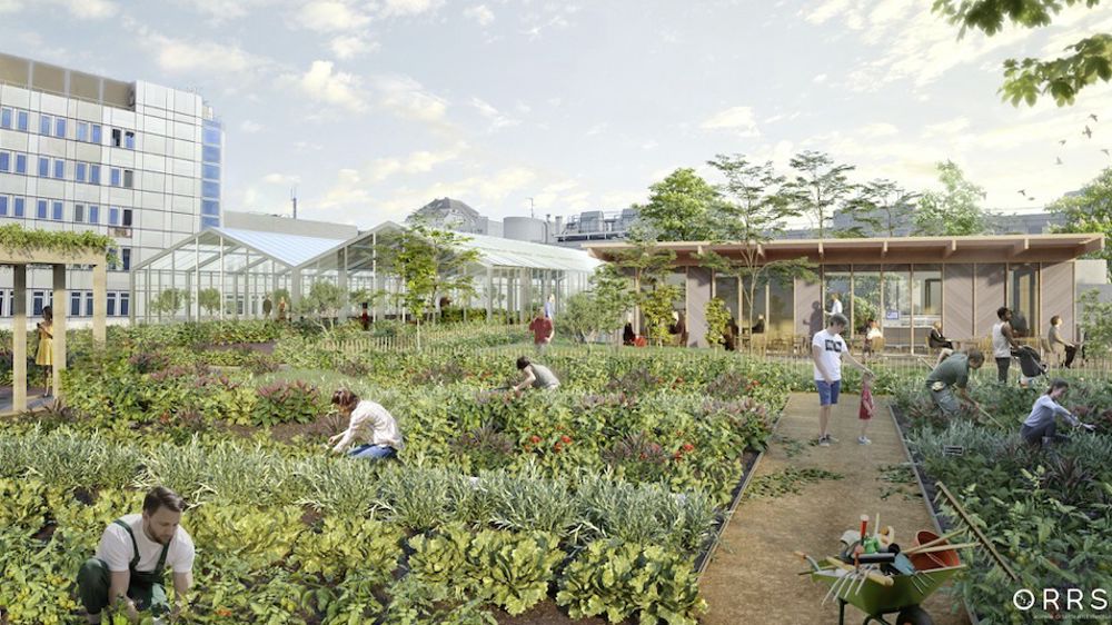 La ferme urbaine Ma Salade à Toit fait partie des cinq projets retenus le 5 juillet 2023 par la Banque des territoires pour la transition alimentaire.