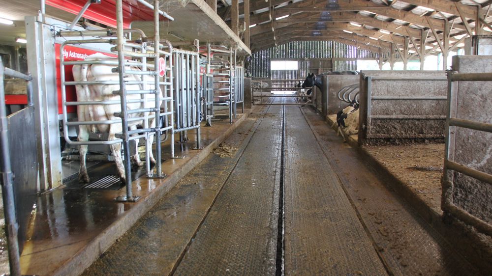 Vue du tapis Delta X après passage du racleur : la forme du revêtement entraîne les liquides dans les deux rainures situées à mi-distance de l’axe et du bord du couloir.