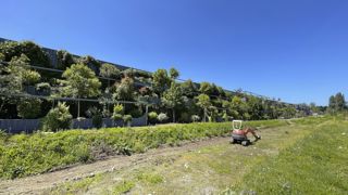 Le groupe NGE entend développer les métiers et les techniques du paysage.