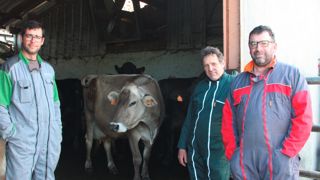 Alexandre Saurel et Patrick Déléris (à droite), du Gaec du Fournoulet, avec leur salarié Anthony (à gauche) affichent, sans complexe, un troupeau multicolore. Alexandre Saurel et Patrick Déléris (à droite), du Gaec du Fournoulet, avec leur salarié Anthony (à gauche) affichent, sans complexe, un troupeau multicolore.